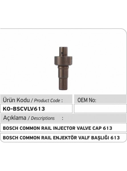 BSCVLV613 Bosch Common Rail Injector Valve Cap 613