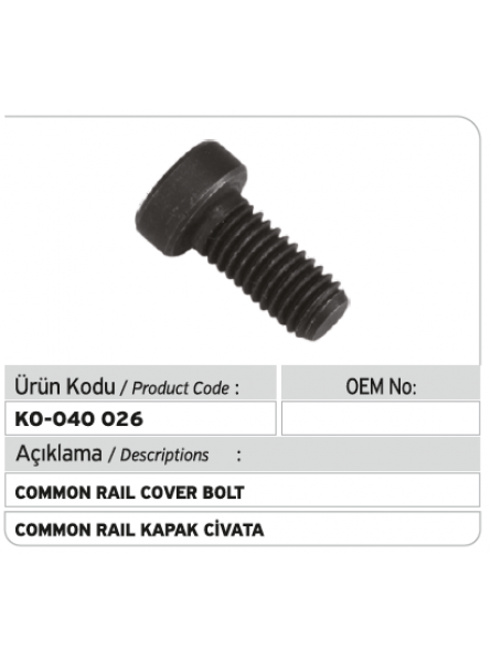 COMMON RAIL КРЫШКА БОЛТА