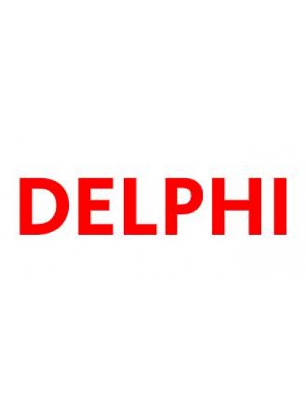 7135-126 Комплект уплотнений Delphi